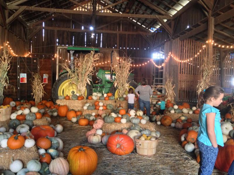 Barn.jpg