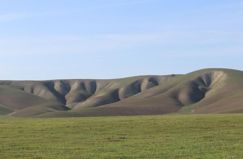 Bitterwater News by Wendy Sans for Week of April 28 BenitoLink