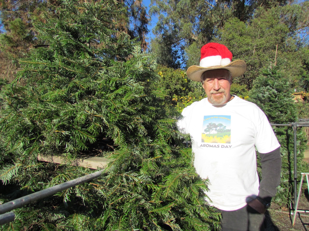 Get your Christmas tree and feed the animals BenitoLink