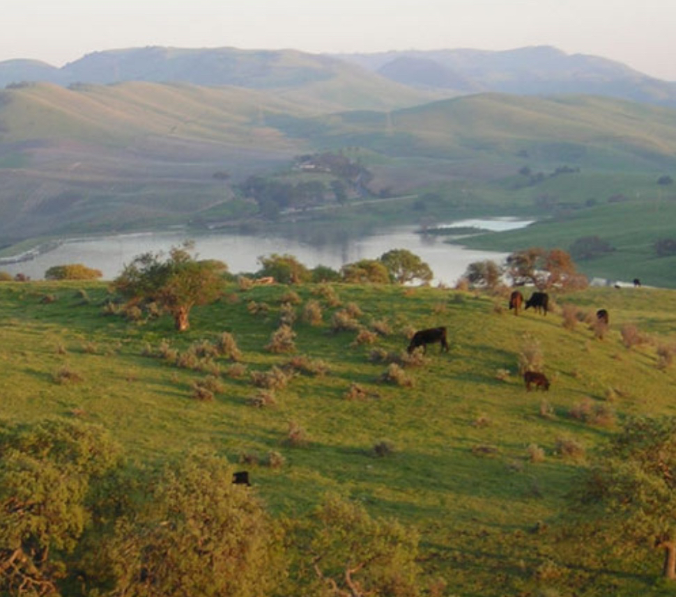 Paicines Ranch Pinnacles Gateway Partners Meeting at Paicines Ranch | BenitoLink
