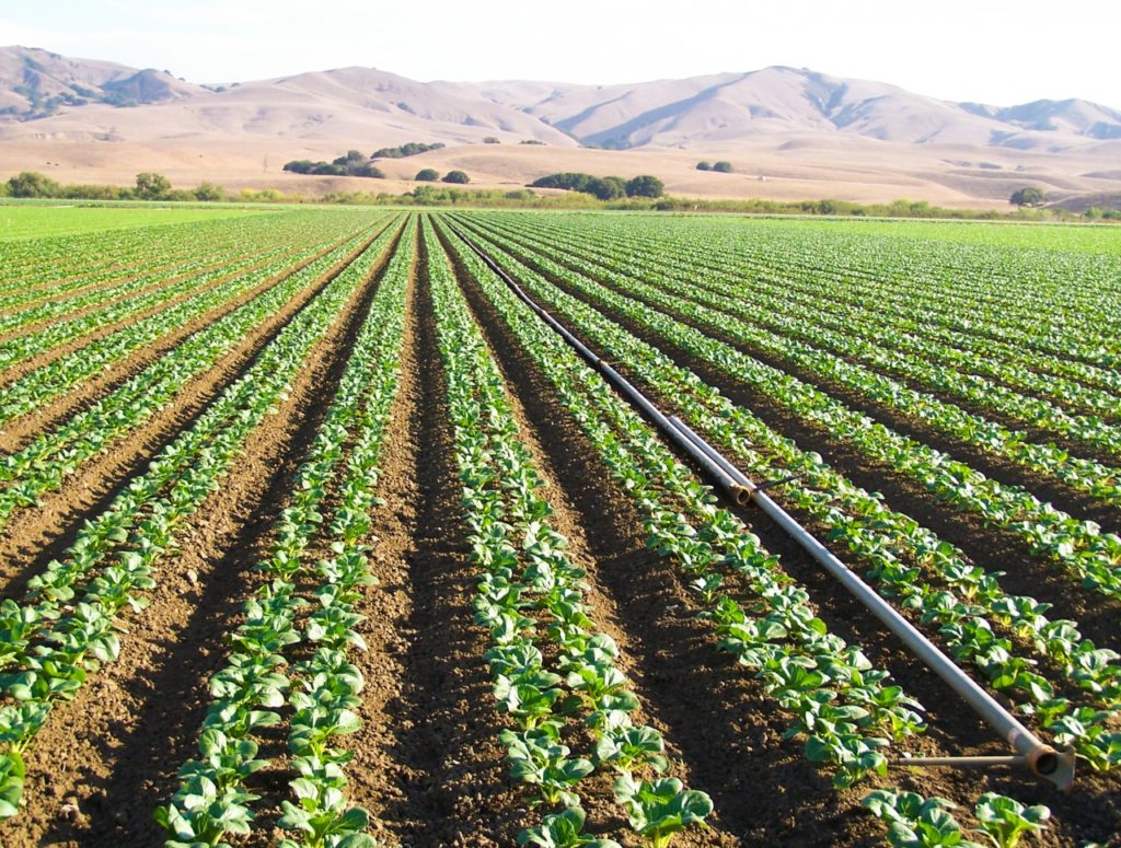 Protecting San Benito County Agricultural Lands for 25 years BenitoLink