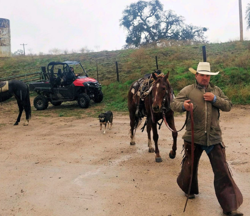 Joe Spencer returning from gathering cattle on horseback. Photo courtesy of Karminder Brown.