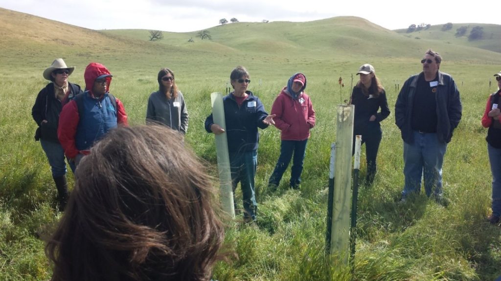 Kathy Spencer speaking at oak restoration tour of Bear Valley Ranch. Photo courtesy of Karminder Brown.
