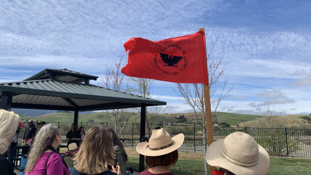 Many carried the United Farm Workers flag. Photo by Juliana Luna.