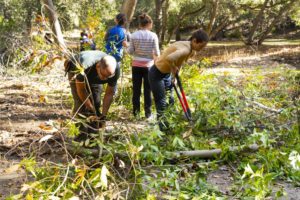 Participants clearing the understory shrubs for pile burning. Photo by Kirti Bassendine.