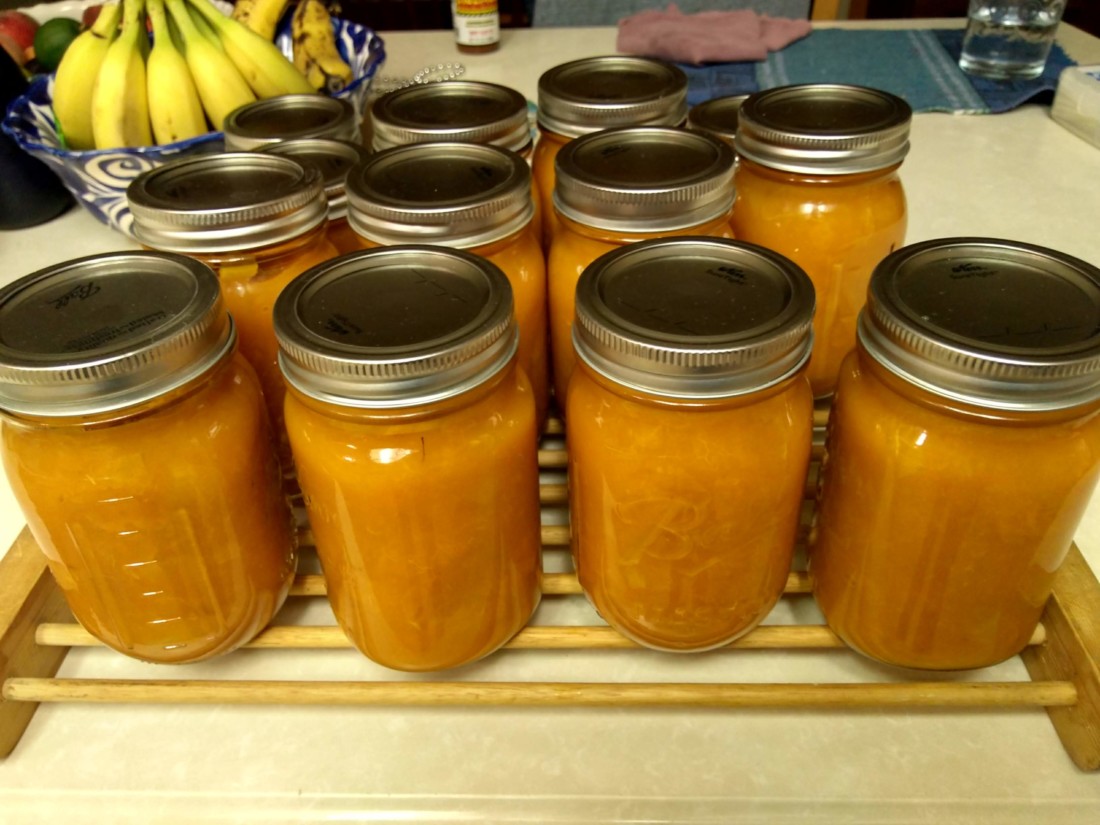 COLUMN Timing is everything for fresh Blenheim apricots BenitoLink