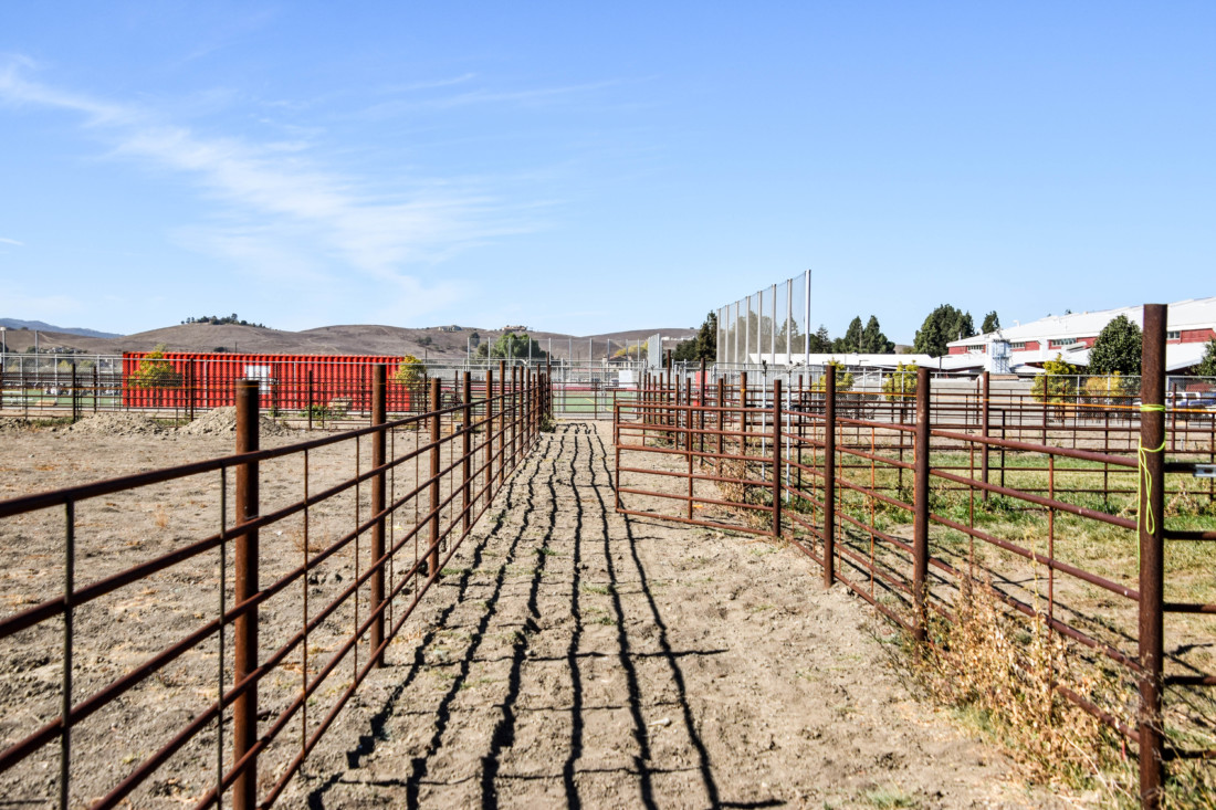 The new studentbuilt livestock facilities, string lines still intact